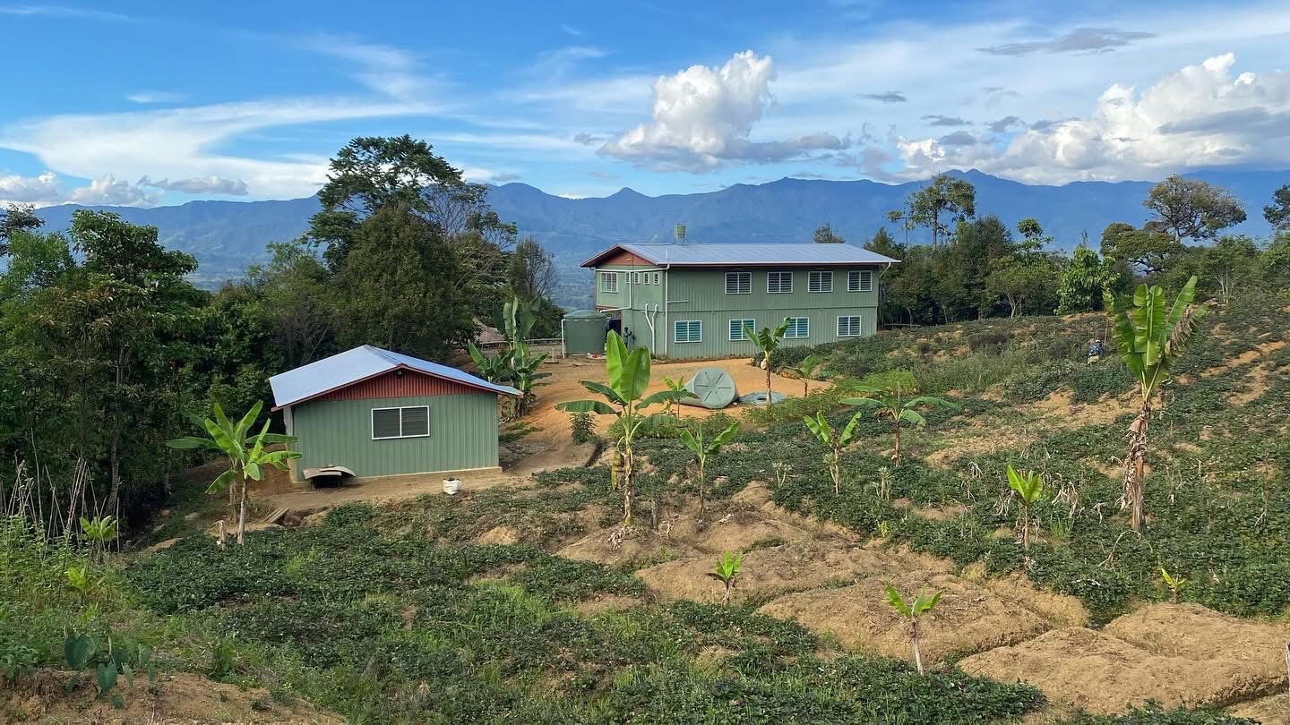 Misty green highlands of Papua New Guinea at golden hour